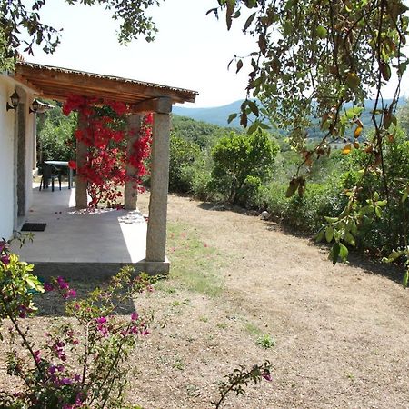 La Puntaccina Villa Aglientu Bagian luar foto