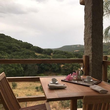 La Puntaccina Villa Aglientu Bagian luar foto