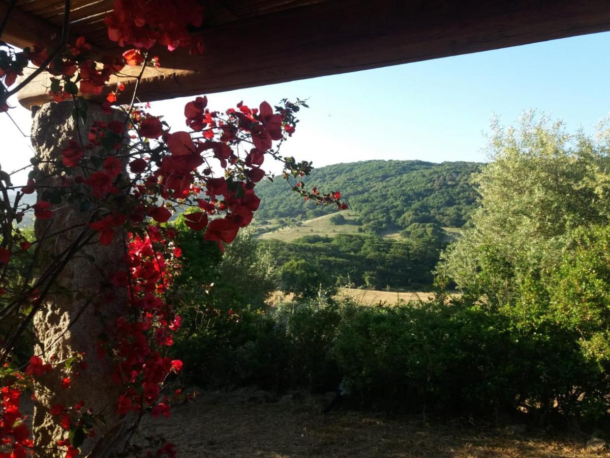 La Puntaccina Villa Aglientu Bagian luar foto