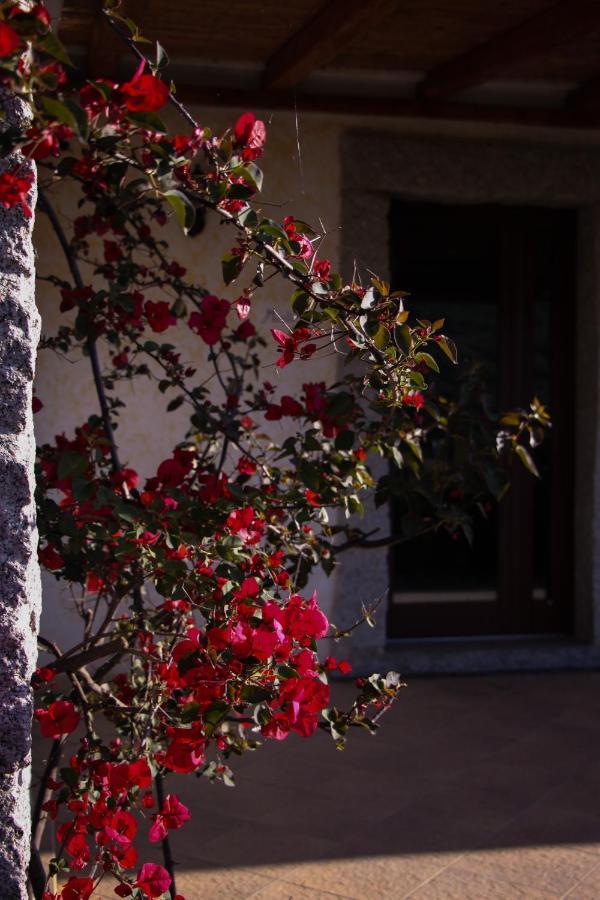 La Puntaccina Villa Aglientu Bagian luar foto