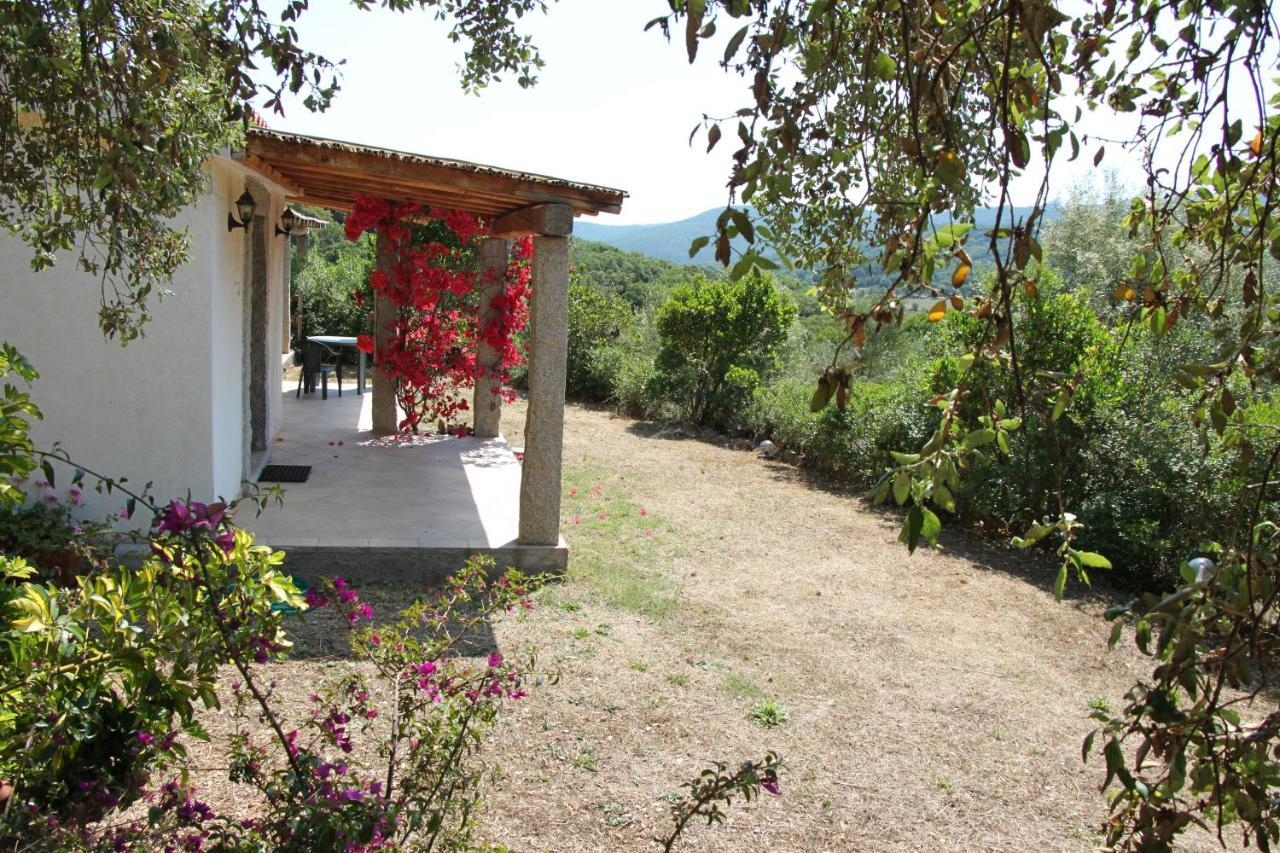 La Puntaccina Villa Aglientu Bagian luar foto