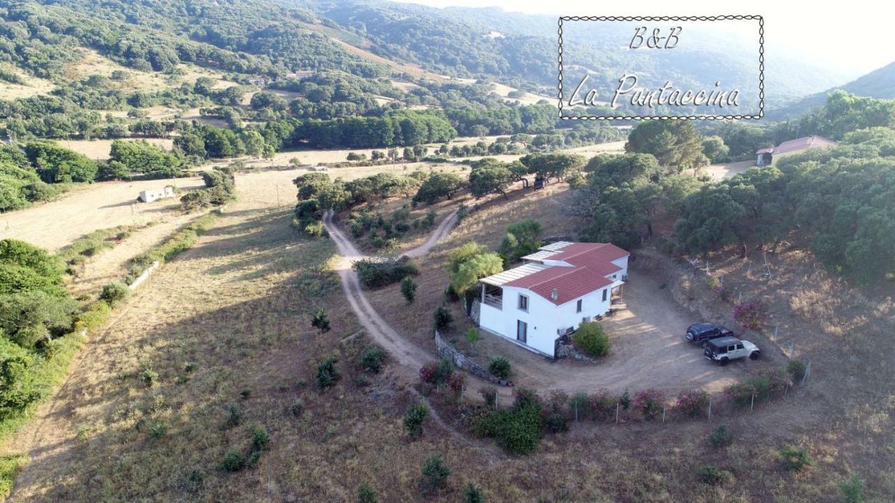 La Puntaccina Villa Aglientu Bagian luar foto